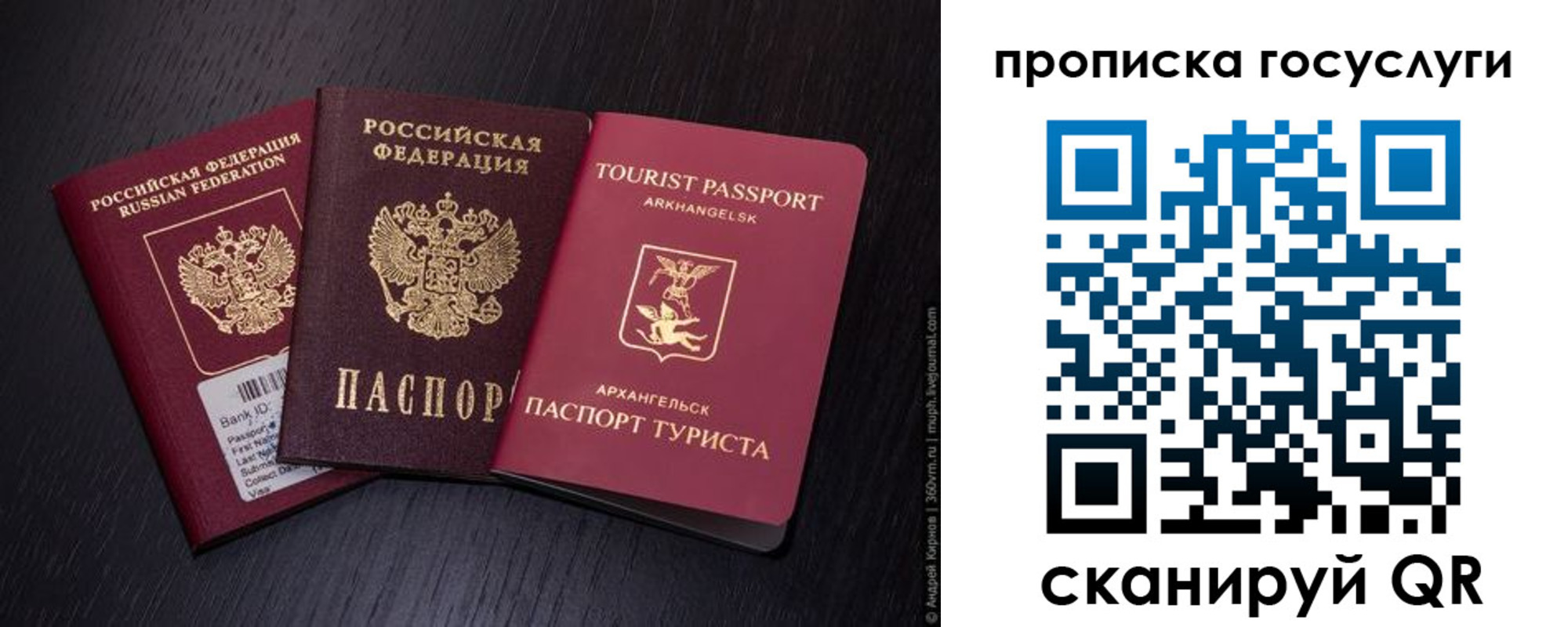 прописка 2025 в Владимире